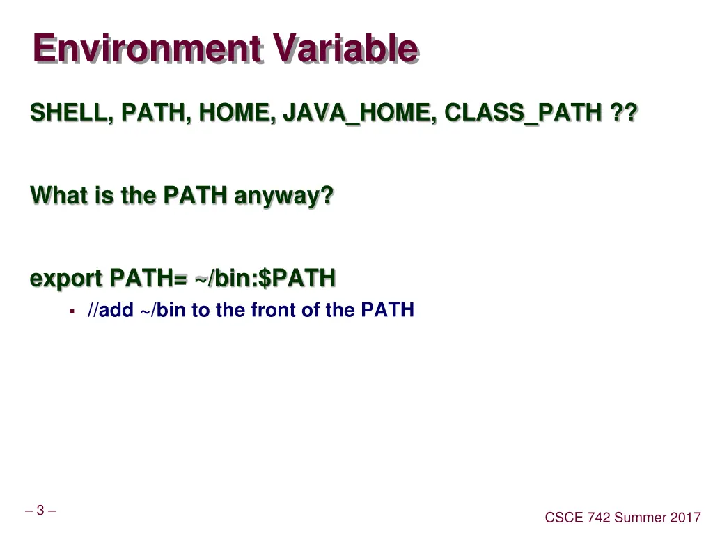 environment variable