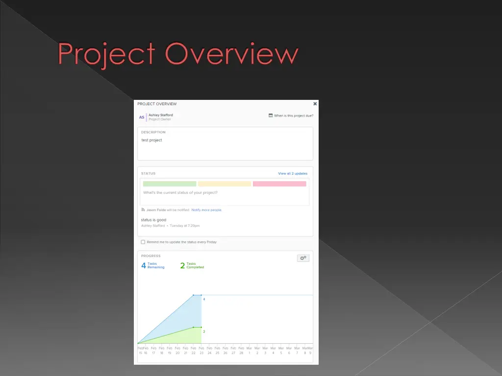 project overview
