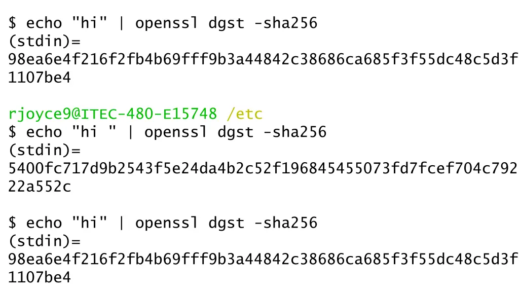 echo hi openssl dgst sha256 stdin