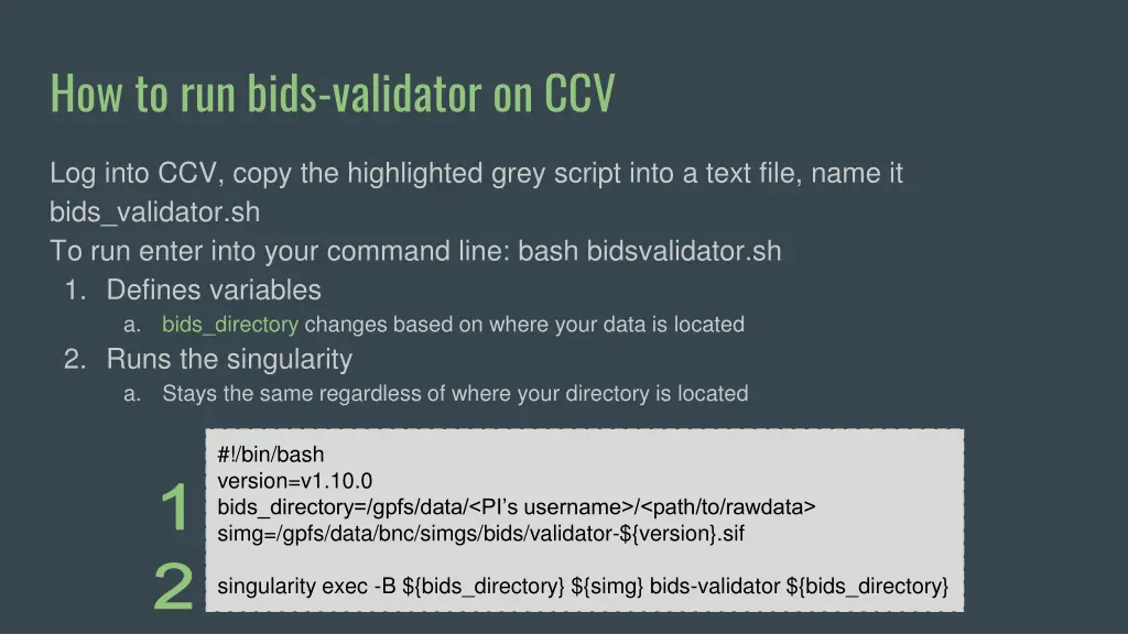 how to run bids validator on ccv