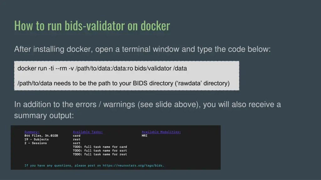 how to run bids validator on docker