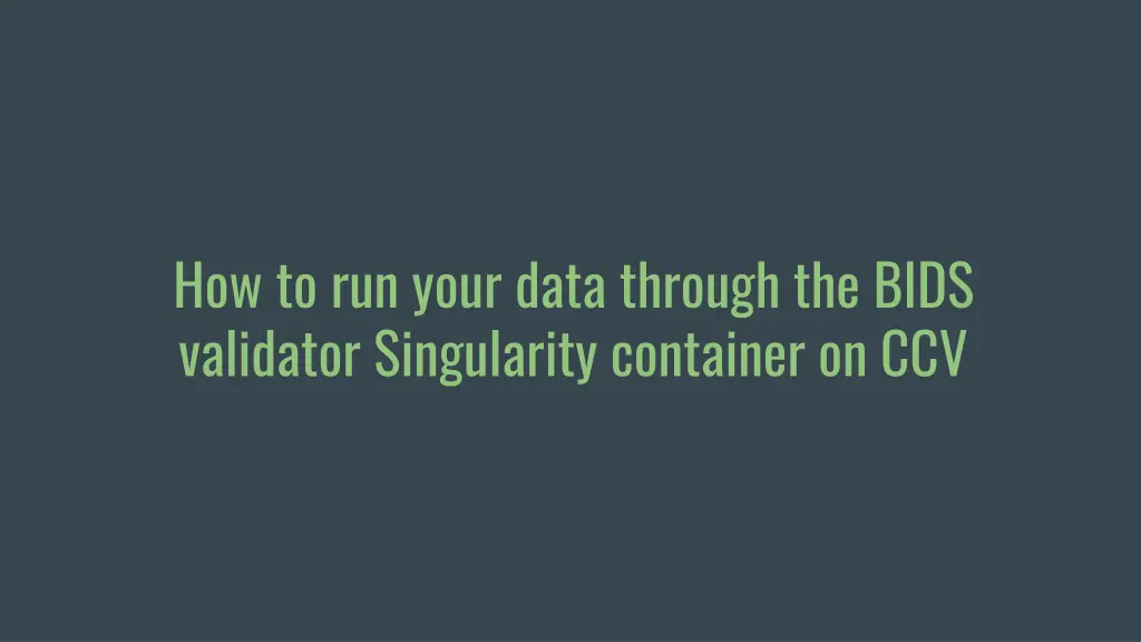 how to run your data through the bids validator