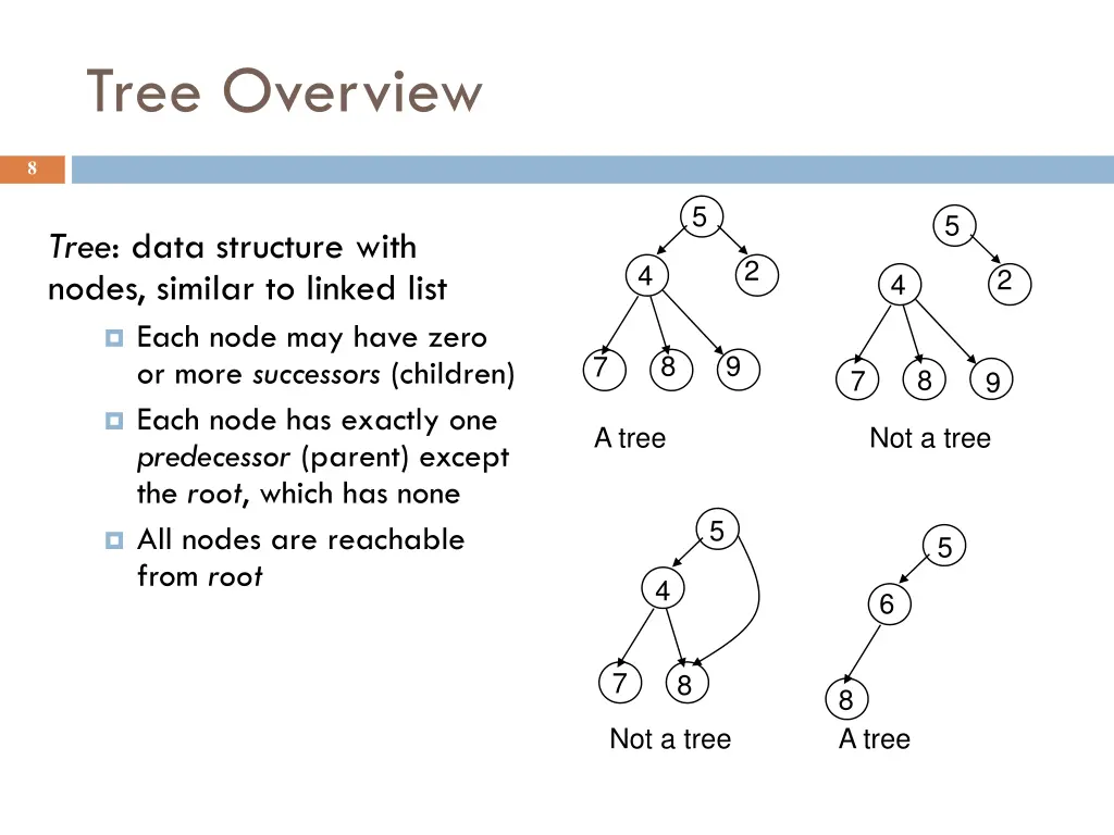 tree overview