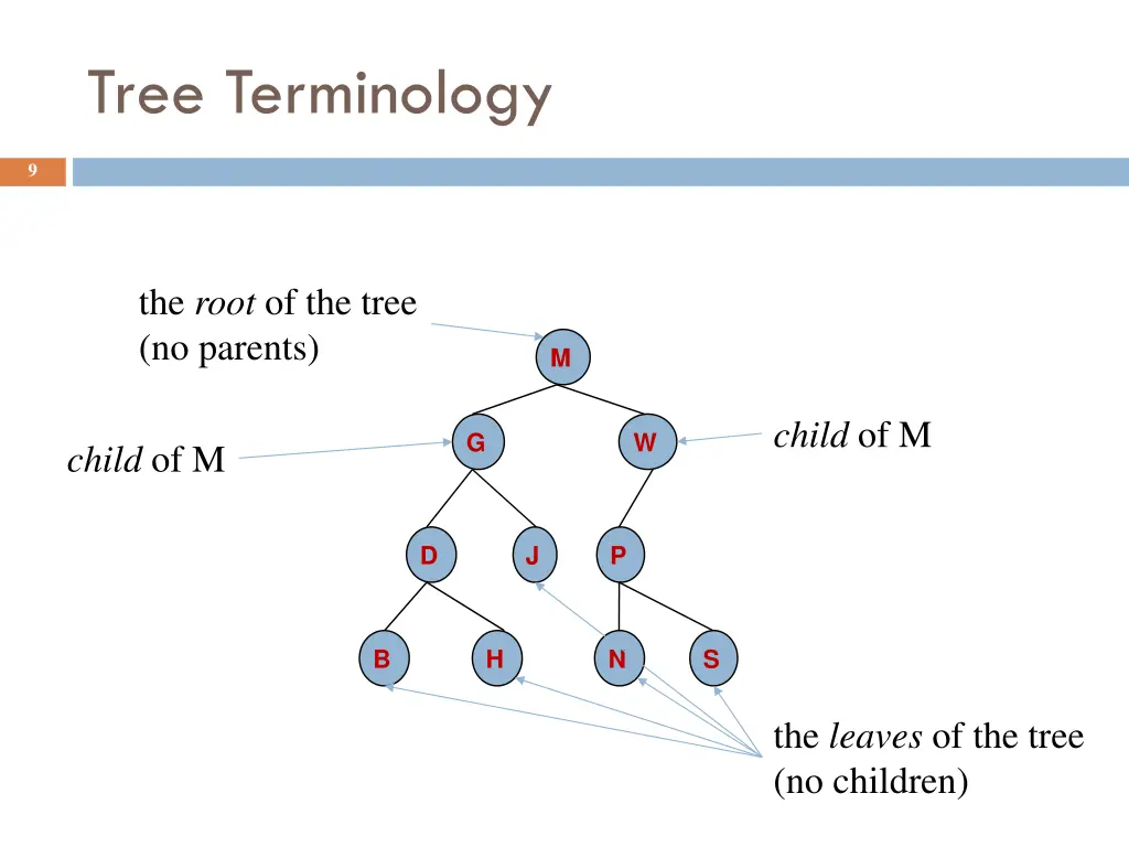 tree terminology