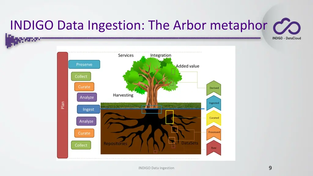 indigo data ingestion the arbor metaphor 2