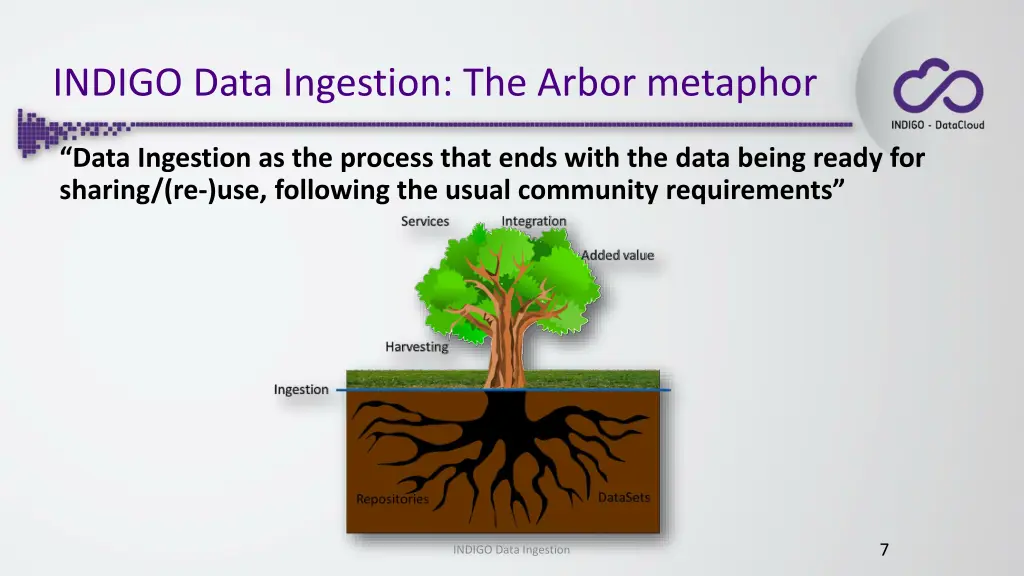 indigo data ingestion the arbor metaphor
