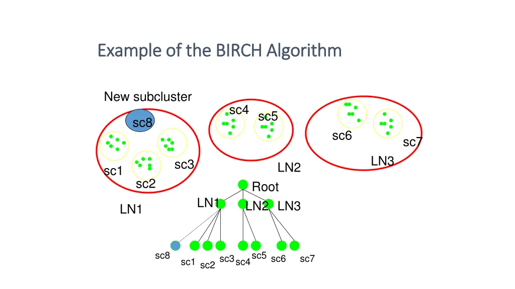 example of the birch algorithm example