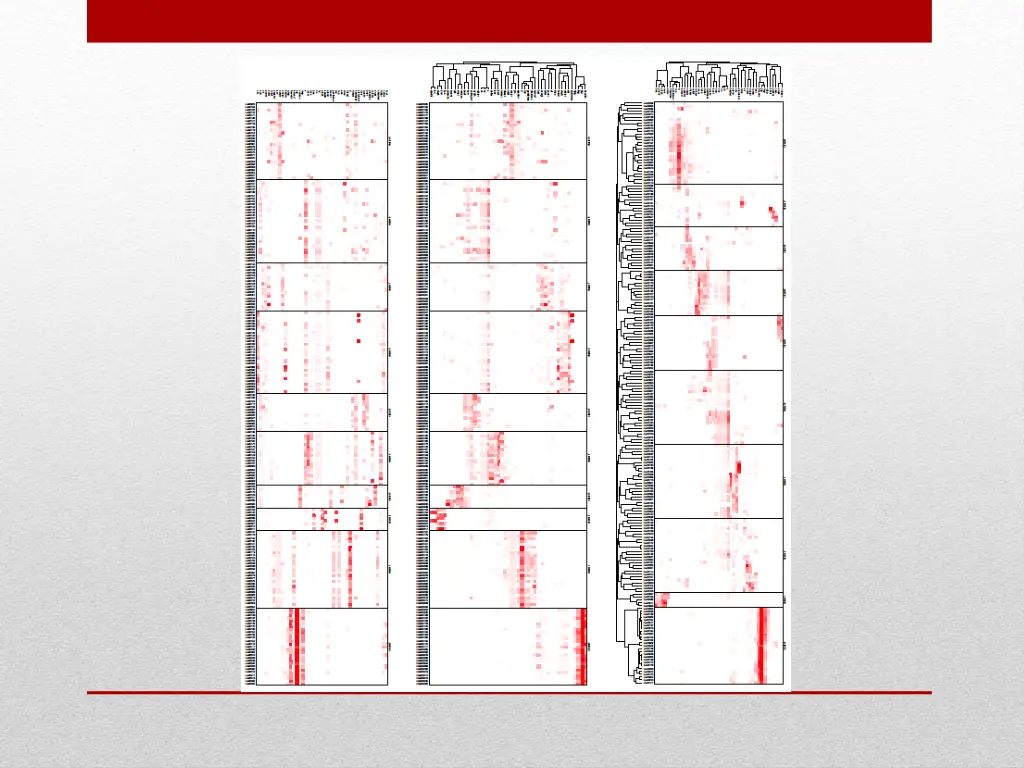 slide17