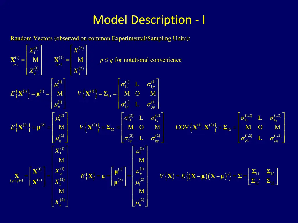 model description i