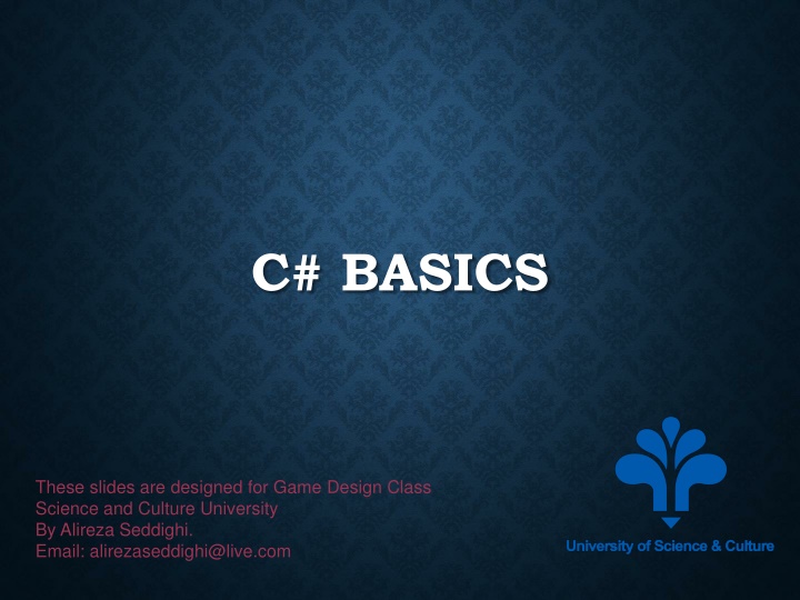 c basics