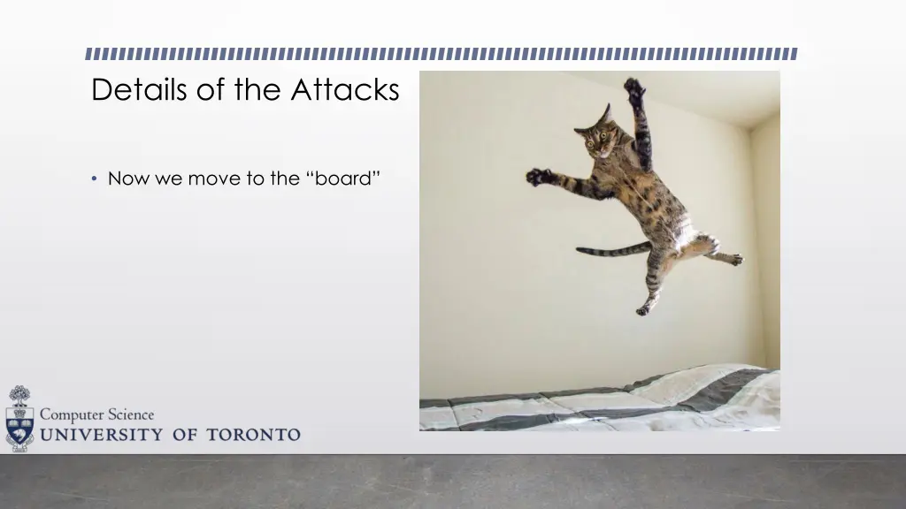 details of the attacks