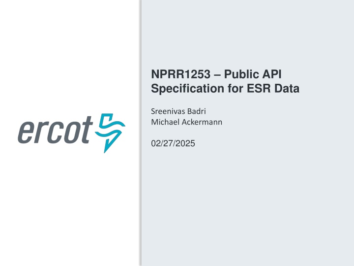 nprr1253 public api specification for esr data