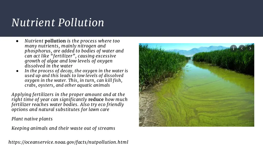 nutrient pollution