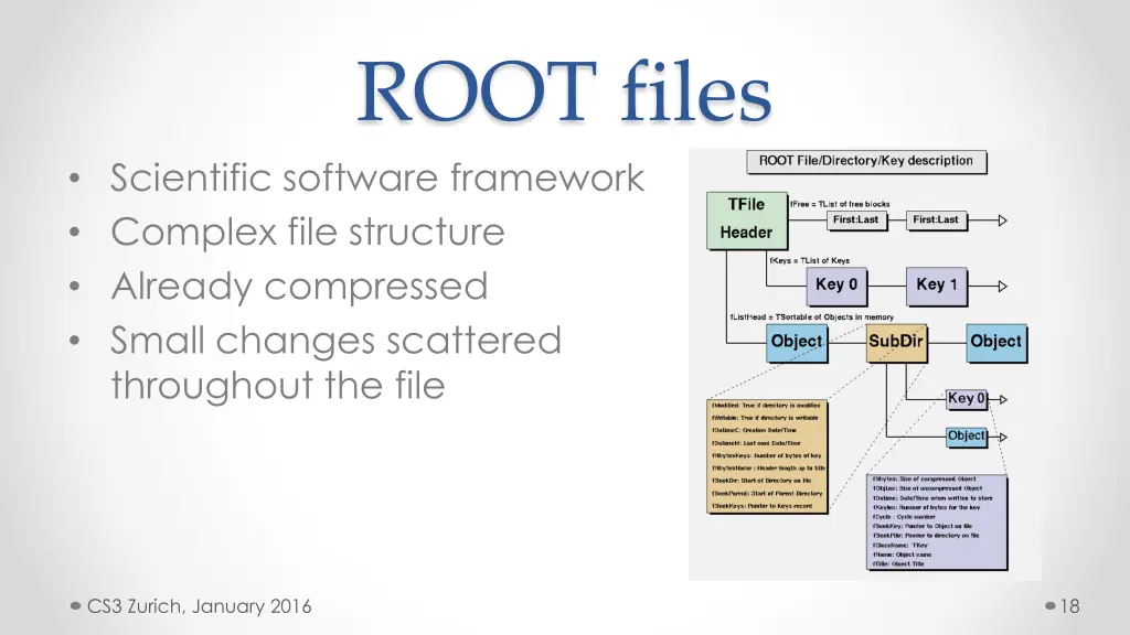 root files
