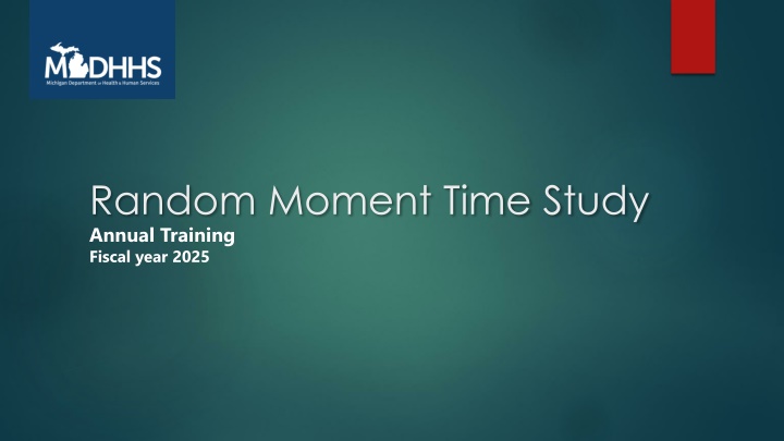 random moment time study