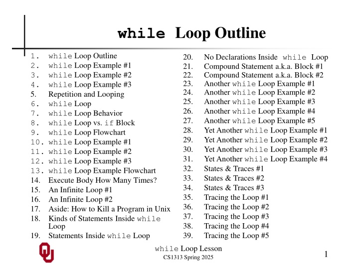 while loop outline