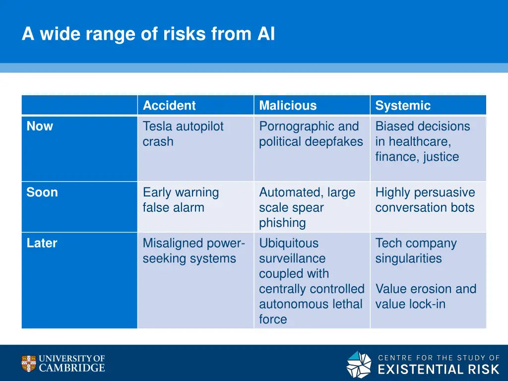 a wide range of risks from ai