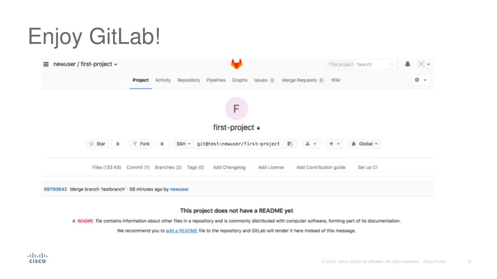 enjoy gitlab