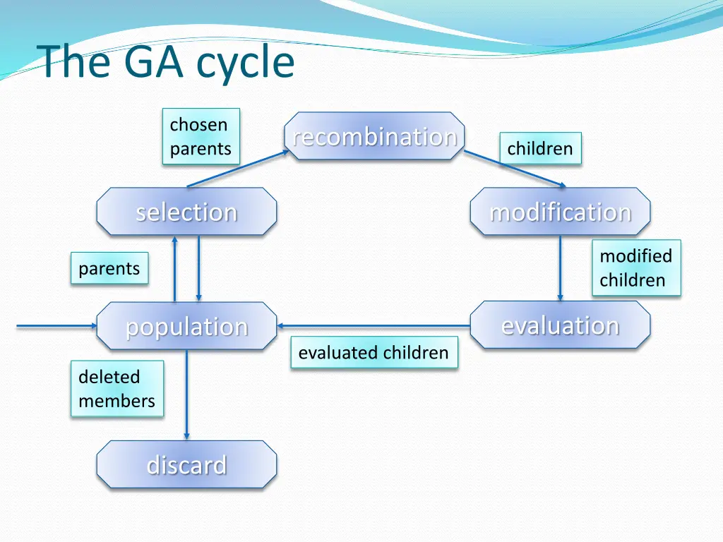 the ga cycle