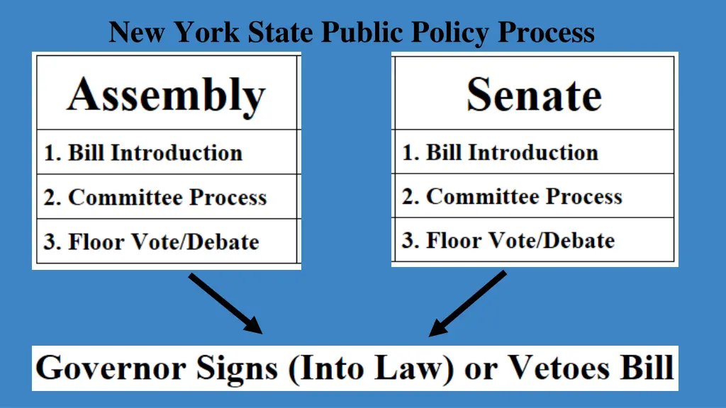 new york state public policy process