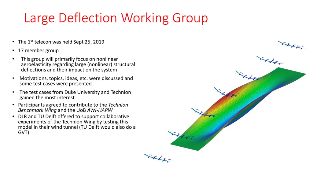 large deflection working group