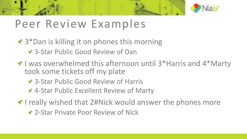peer review examples