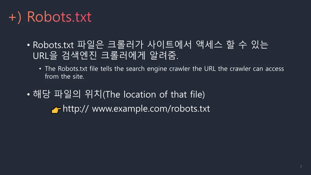 robots txt