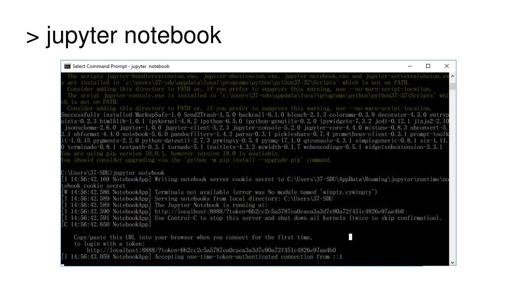 jupyter notebook