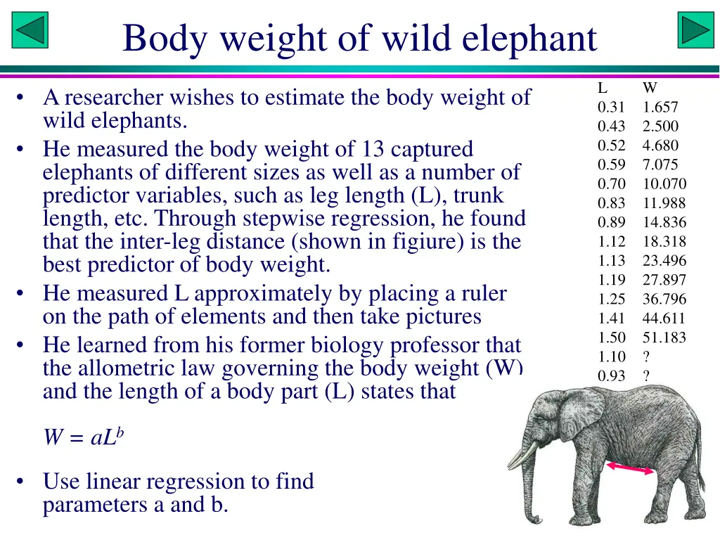 body weight of wild elephant