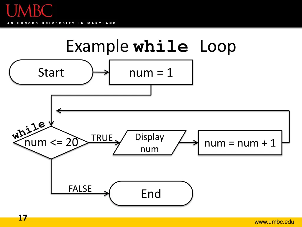 example while loop 1
