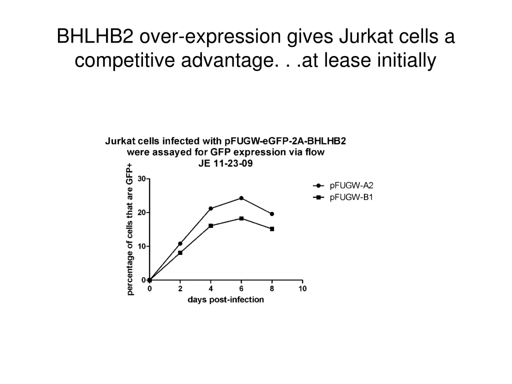 bhlhb2 over expression gives jurkat cells