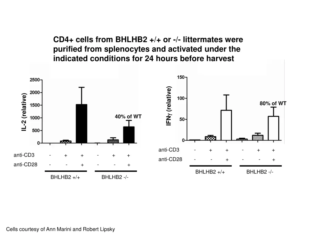cd4 cells from bhlhb2 or littermates were