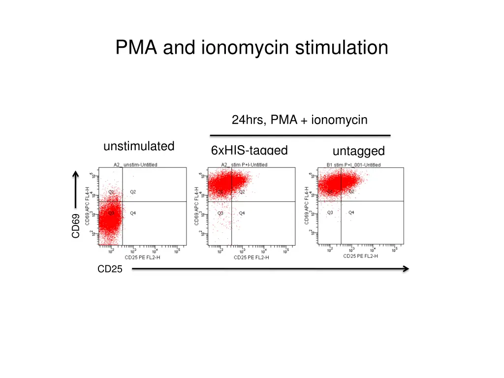 pma and ionomycin stimulation