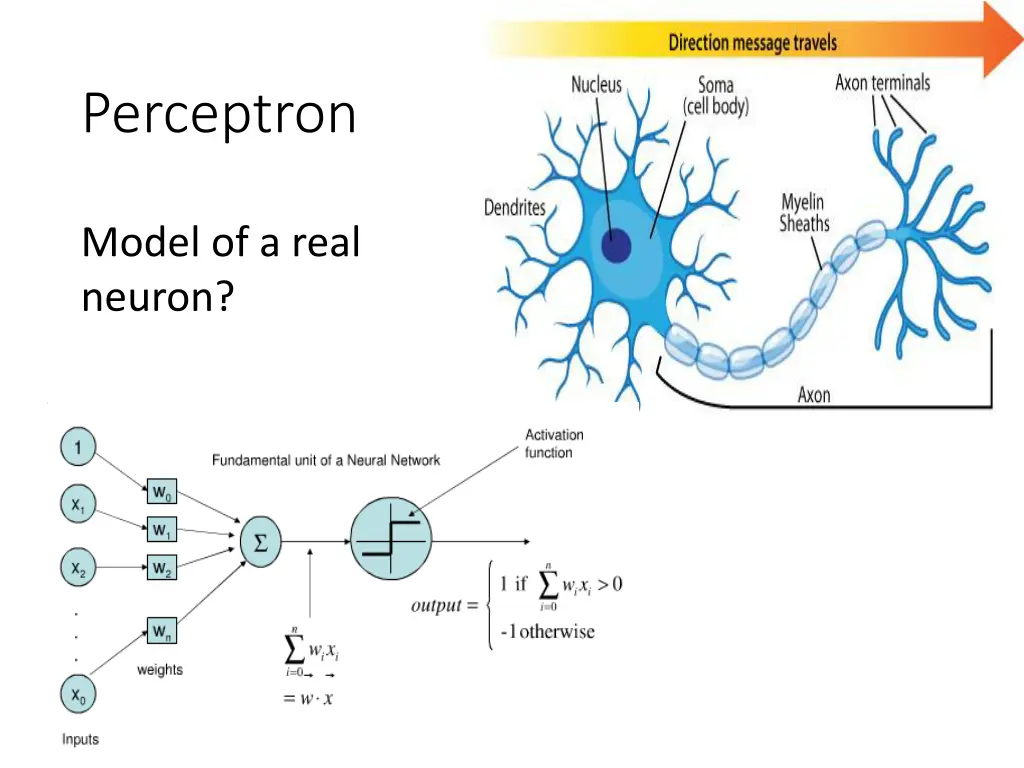 perceptron 1