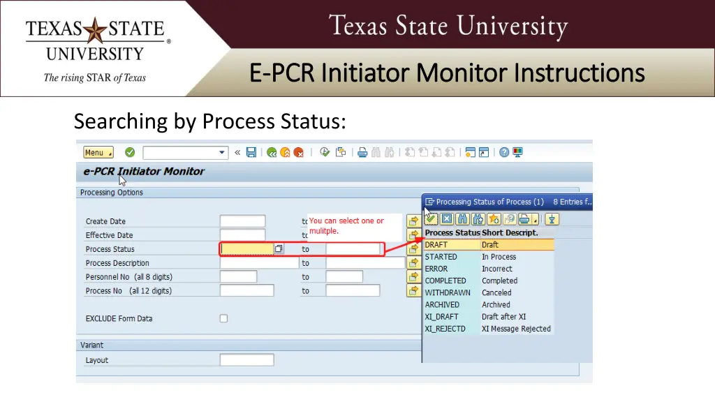 e e pcr initiator monitor instructions 2