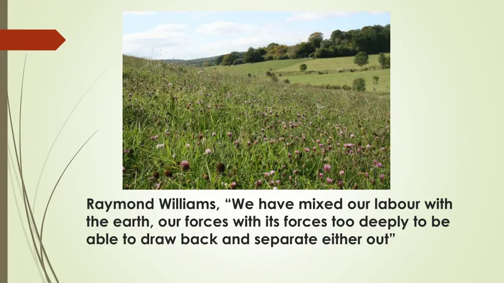 raymond williams we have mixed our labour with