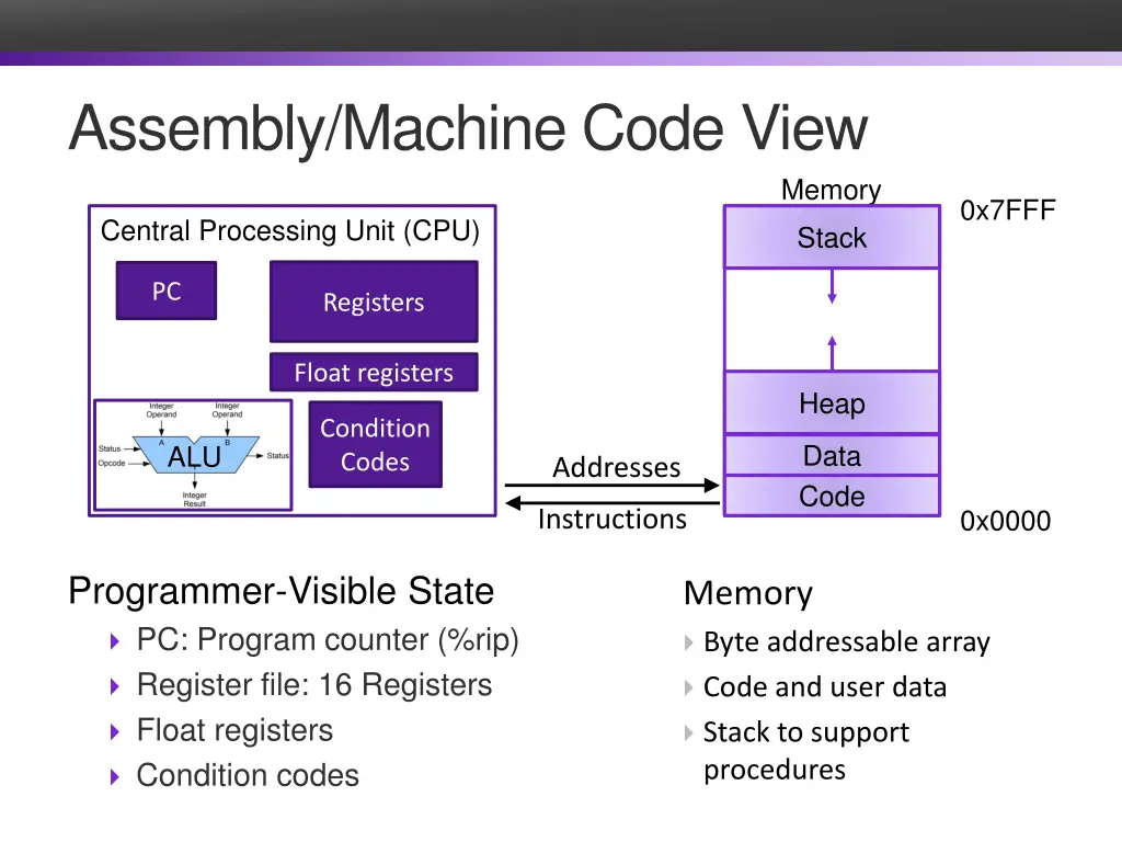 assembly machine code view