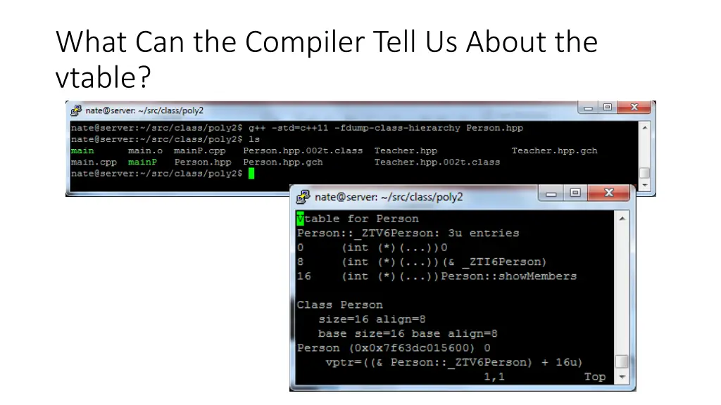 what can the compiler tell us about the vtable