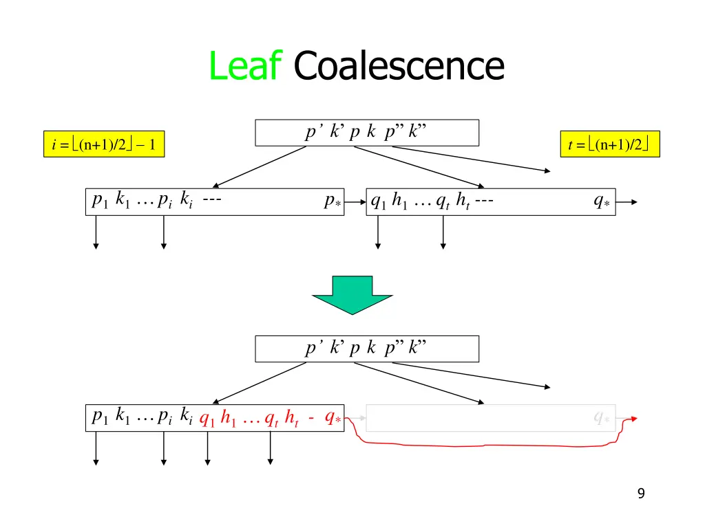leaf coalescence 2