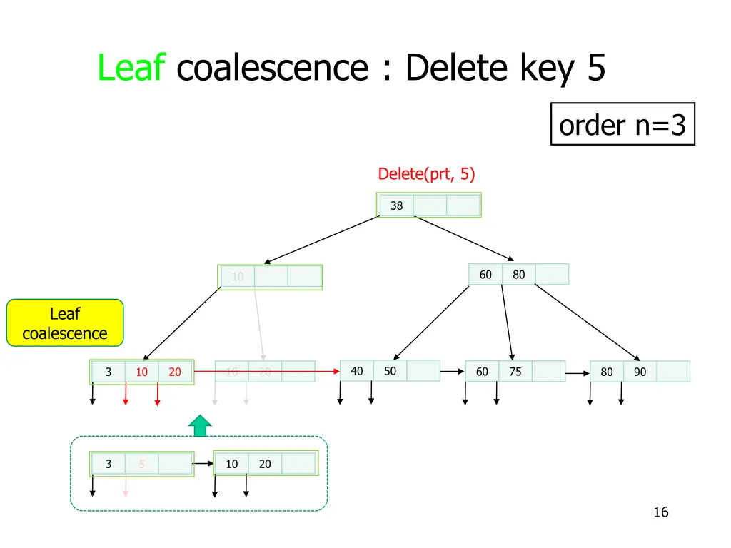leaf coalescence delete key 5 5