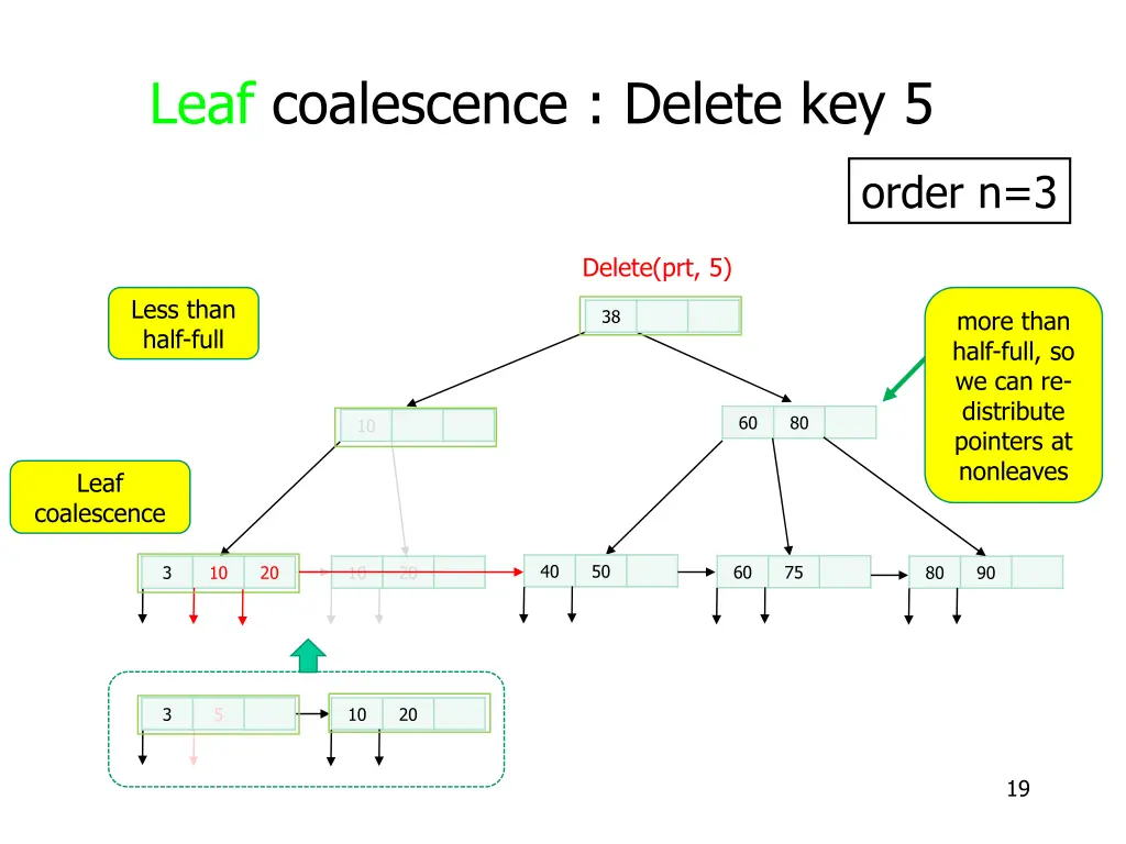 leaf coalescence delete key 5 8