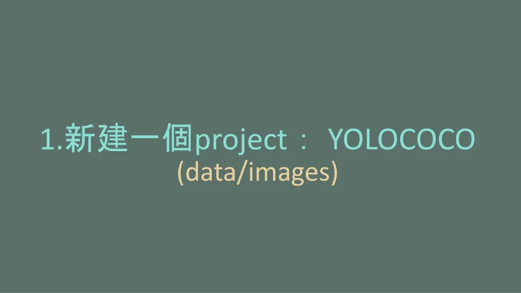 1 project yolococo data images