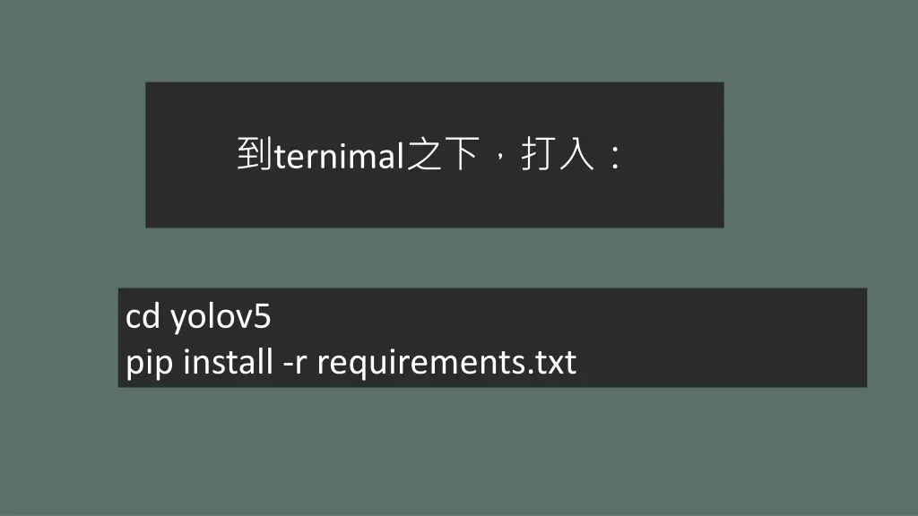 ternimal 2