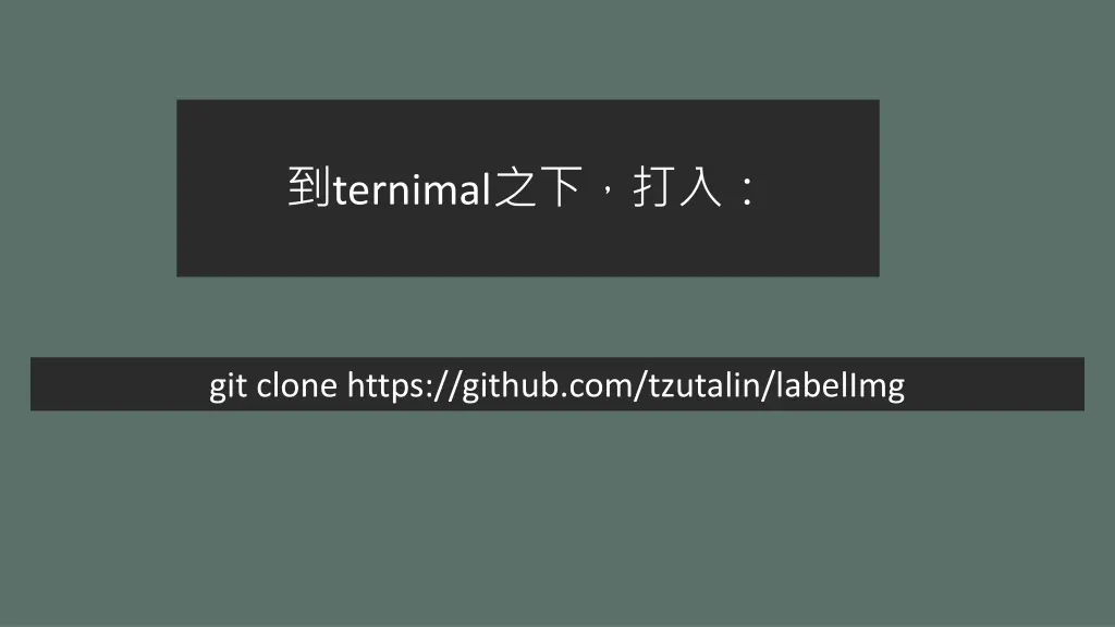 ternimal