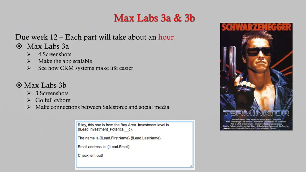 max labs 3a 3b