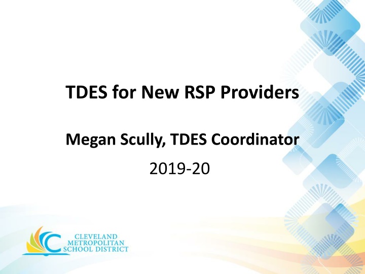 tdes for new rsp providers
