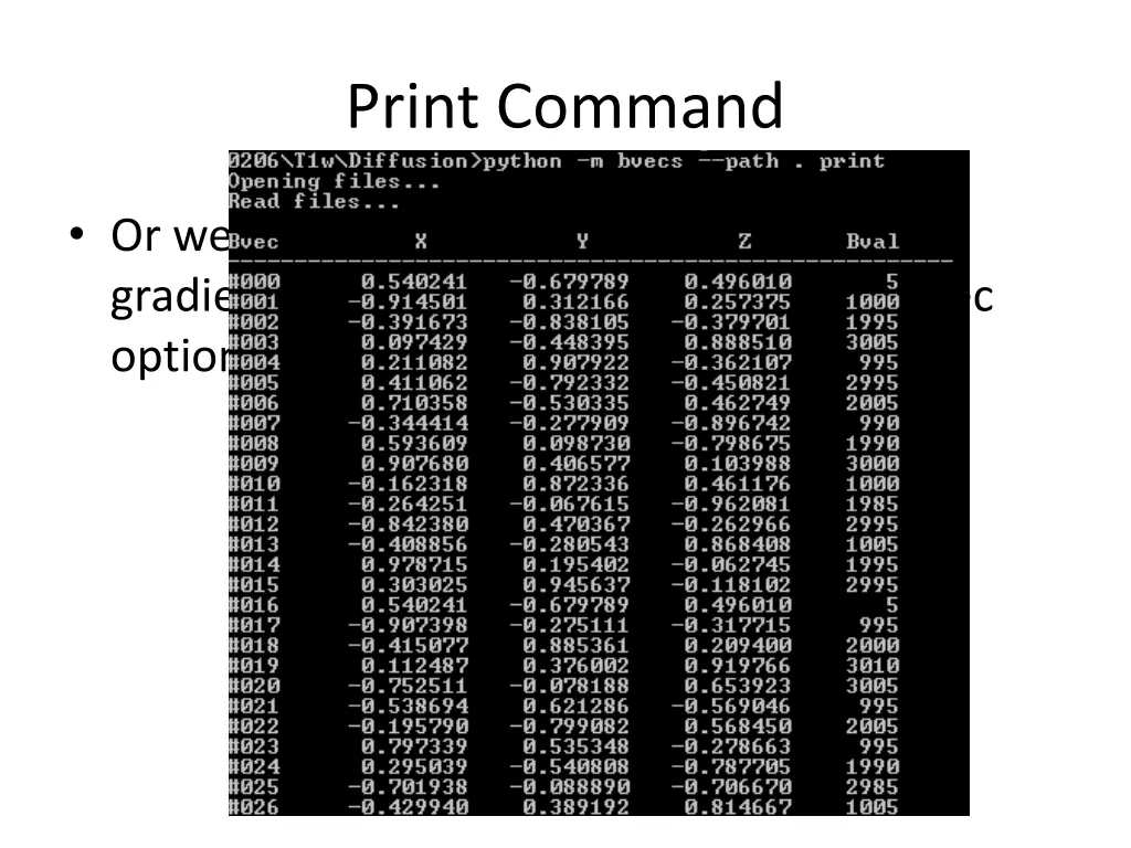print command 1