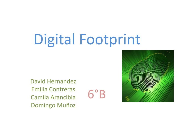 digital footprint
