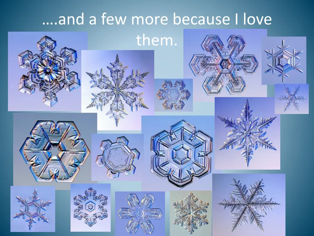 and a few more because i love them