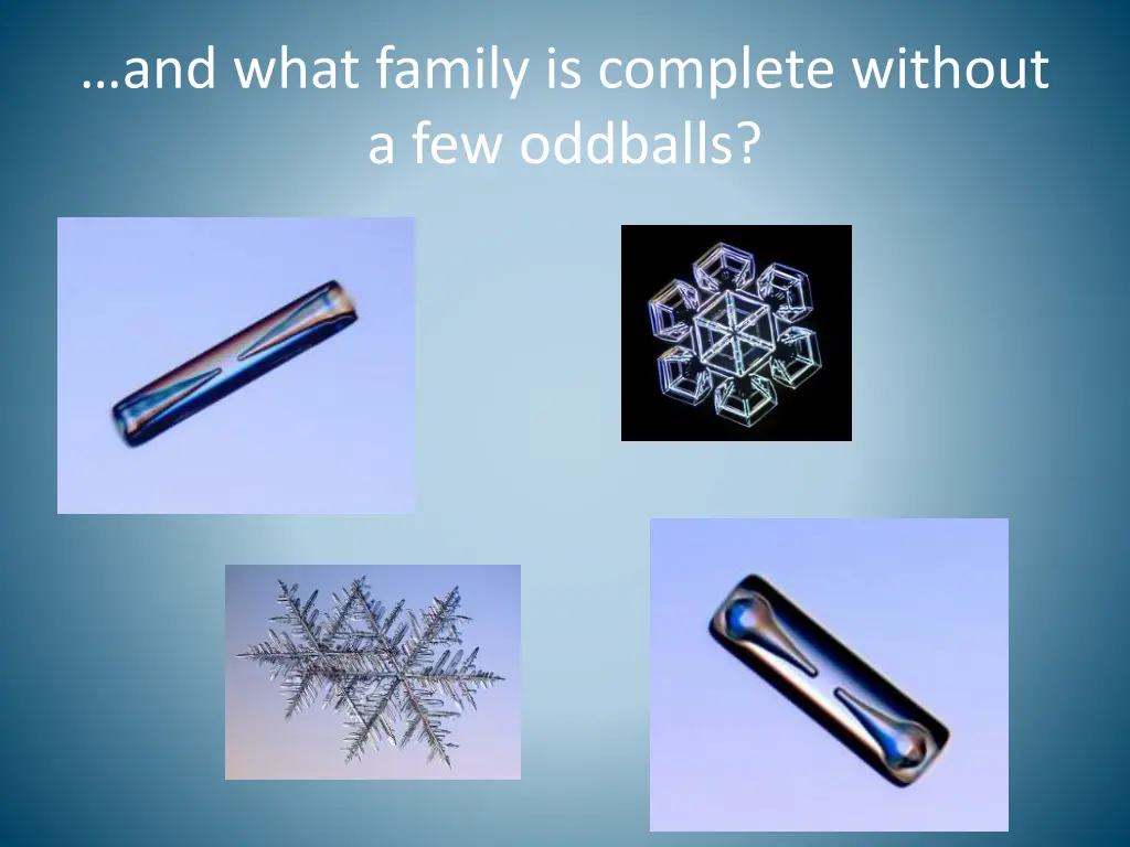 and what family is complete without a few oddballs